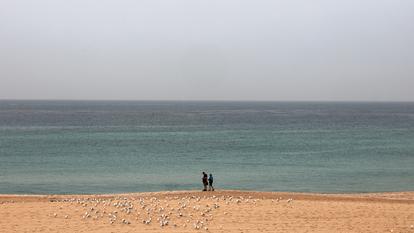 Deux personnes se promènent près des mouettes à Bondi Beach, par un jour de pluie à Sydney, le 9 février 2026.