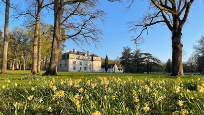 Les Hayes en Sologne, une bâtisse du XIXe siècle aux allures de Petit Cheverny en pierre de tuffeau entièrement rénovée et posée dans un domaine privé de 180 hectares.