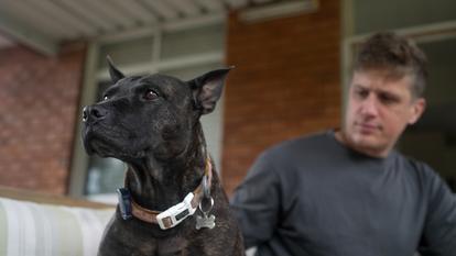 En concevant un vaccin sur mesure grâce à des outils d’intelligence artificielle, Paul Conyngham a pu faire régresser le cancer cutané dont était atteinte sa chienne, Rosie.