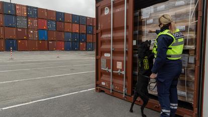 La brigade de surveillance intérieure des douanes contrôle des containers dans la zone portuaire de Dunkerque avec Thanos, chien de stupéfiants, à Dunkerque.