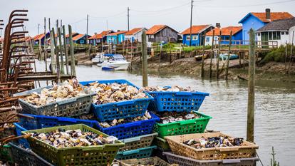 Cabanes de pêcheur en bord de mer, à La Tremblade, Charente-Maritime.