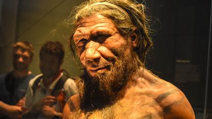 Les analyses génétiques réalisées sur des Néandertaliens qui vivaient sur des sites en Belgique et en France il y a un peu moins de 50.000 ans nous renseignent sur la fin de leur existence en Europe.