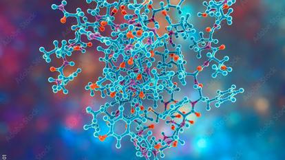 Les agonistes du GLP1 imitent l’action d’une hormone digestive, et les glifozines bloquent la récupération du glucose.