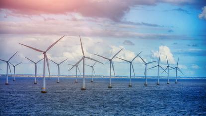 Les éoliennes forment des obstacles sur la route de nombreux oiseaux.