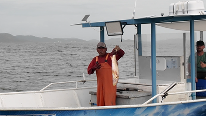 Un pêcheur côtier présente un acoupa rouge tout juste pêché en Guyane.