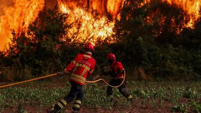 Les pompiers s’efforcent d’empêcher les flammes d’avancer vers le village de Cercosa lors d’un incendie de forêt à Vouzela, Portugal, le 4 juillet 2026.