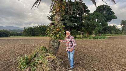 Jean-Pierre Taïeb Aïfa, fils et petit-fils d’Algériens déportés en Nouvelle-Calédonie, à côté du dattier planté par son père sur son terrain de Bourail, le 30 juin 2026.