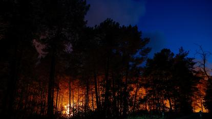 Un feu de forêt brûle près de Fontainebleau, au sud de Paris, France, le 12 juillet 2026.