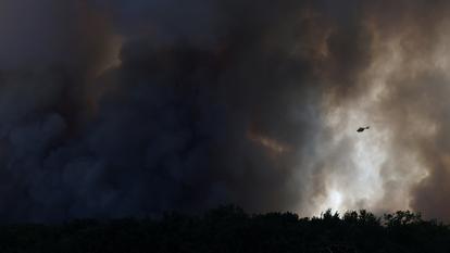 La forêt de Fontainebleau est en proie ce lundi à un incendie hors norme, qui pourrait avoir « une origine volontaire », selon le ministre de l’Intérieur, Laurent Nuñez.