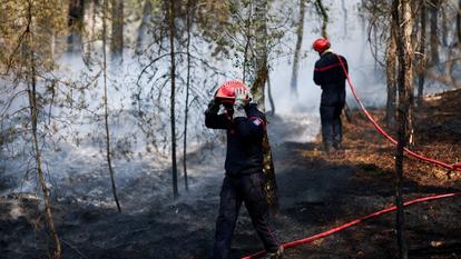 Pas moins de 800 pompiers étaient encore mobilisés, mardi, pour tenter de « fixer » les feux ravageant la forêt de Fontainebleau.