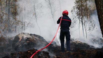 La composition du sol de la forêt de Fontainebleau favorise les «feux zombies», capable de couver longtemps et de ressortir à plusieurs dizaines de mètres.