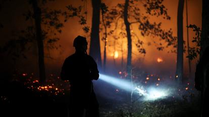 Dans la forêt de Fontainebleau, lundi 13 juillet.