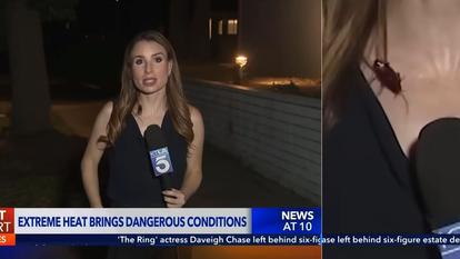 Rachel Menitoff sur KTLA.