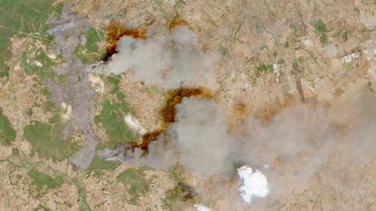 Une image satellite montre de la fumée provenant d’incendies de forêt dans le nord-est de l’Algérie, le 21 juillet 2026.
