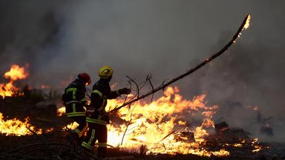 Les pompiers luttent sans relâche à Ares, en Gironde, le 25 juillet 2026.