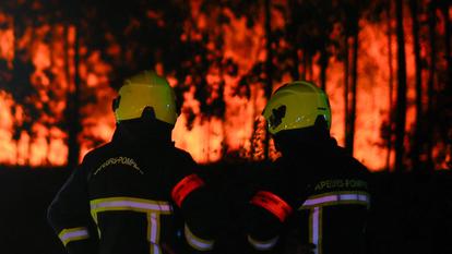 Des pompiers face aux flammes sur le site d’un incendie de forêt, à Andernos-les-Bains.