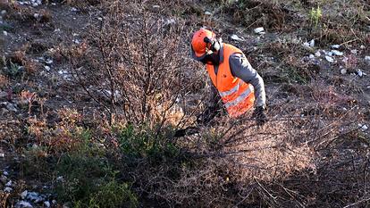 L’obligation légale de débroussaillement (OLD), qui s’applique dans certains territoires, impose de nettoyer les terrains situés à moins de 200 mètres des bois et forêts, dans un rayon de 50 mètres.