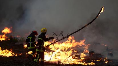 Avec 420 km², le feu a parcouru environ quatre fois la superficie de Paris intra-muros (105 km²).
