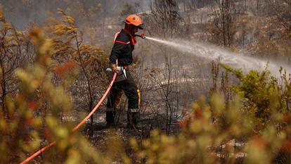 Les feux avaient dévoré plusieurs centaines de mètres carrés de végétation.