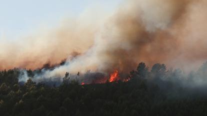 Difficile d’anticiper la trajectoire d’un feu qui peut couver en sous-sol avant de gagner la cime des arbres.
