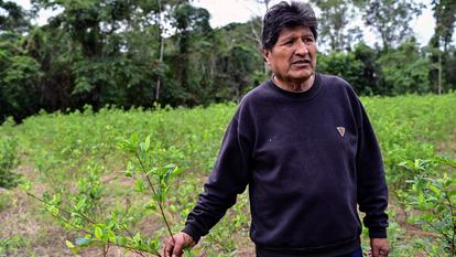 L’ancien président bolivien Evo Morales dans sa propriété privée de Villa Victoria, le 24 juin 2026.