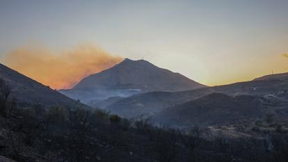 Zone brûlée lors d’un incendie de forêt, au sud de Réthymnon, le 29 juillet 2026.