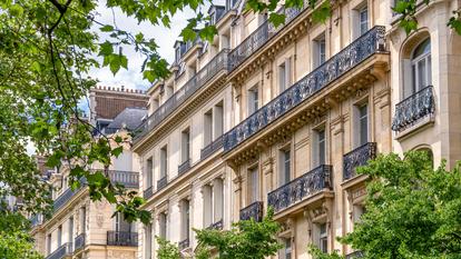 «Dans une ville aussi dense que Paris, chaque arbre, du fait de sa rareté et du nombre de personnes susceptibles de bénéficier de ses bienfaits, compte double voire triple»