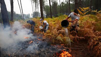 Les habitants de Lacanau essaient d’arrêter l’incendie de forêt, le 25 juillet dernier.