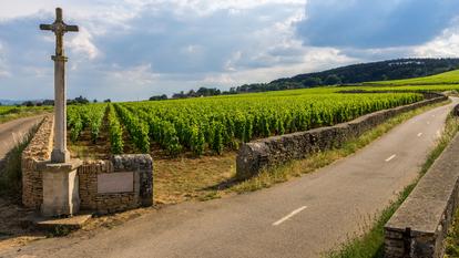 Une croix érigée devant un vignoble bourguignon.