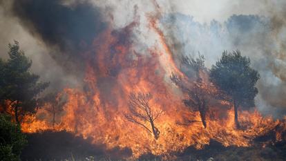 Un incendie de forêt brûle à Vlychada, à l’ouest d’Athènes, en Grèce, le 3 août 2026.