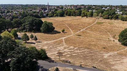 Le parc Brockwell, alors que des conditions de sécheresse continuent à Londres, Royaume-Uni, le 8 août 2026.