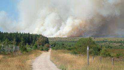 Un panache de fumée s’élève au-dessus des Hautes Fagnes, en Belgique, le 14 août 2026.