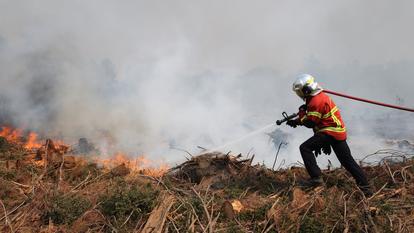 Un pompier travaille à éteindre un feu de forêt à Luglon, dans le département des Landes, le 14 août 2026.