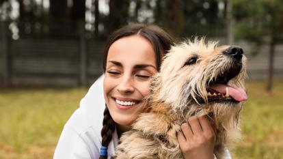 Le chien âgé de 12 ans était aveugle. Grâce à sa maîtresse, il a pu survivre. (Image d’illustration)