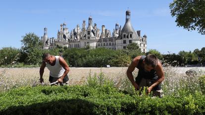Depuis plusieurs années, les jardiniers ont déjà adapté certaines pratiques et vont devoir continuer à en développer de nouvelles.