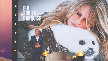 Stéphane Bern devant l’image mythique de B.B. serrant dans ses bras un bébé phoque et maudissant « les connes » qui en font des manteaux de fourrure en 1977.