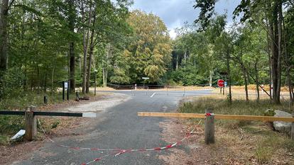 À Fontainebleau et dans les communes voisines, plus de 900 habitants ont été évacués durant les incendies de juillet 2026.
