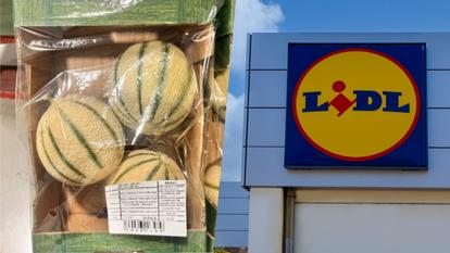 Les caissettes de melons charentais rappelées ont été vendues dans plusieurs magasins Lidl.