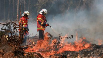 Les pompiers à l’œuvre sur un incendie de forêt à Luglon, dans le département des Landes, le 14 août 2026.