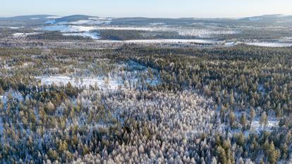 Cette photo, prise le 6 mars 2024, montre des plaines situées au-delà du cercle polaire arctique, près de Kiruna, en Suède.