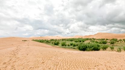 En Mongolie, qui a hébergé la 17e conférence des Nations unies sur la désertification, le surpâturage est le principal responsable de la dégradation des sols.
