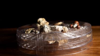 Les travaux du Centre du cancer M.D. Anderson de l’université du Texas ne portent pour l’instant que sur la souris ainsi que sur des expériences in vitro.