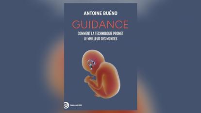 Guidance, de Antoine Bueno, Tallandier.