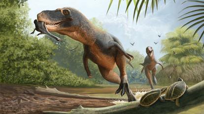 Un oiseau dévoré par un dinosaure il y a 66 millions d’années pourrait révéler les raisons de la survie des oiseaux actuels.