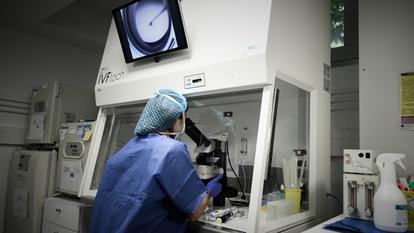 Photo prise au Cecos Centre d’Étude et de Conservation des Œufs et du Sperme Humain de l’hôpital Tenon en 2019.