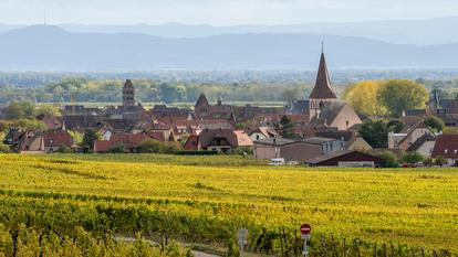 « Mon obsession est de retisser autant que possible les liens entre le citoyen et l’écologie »