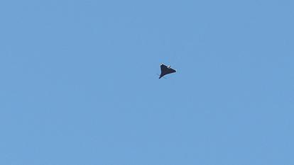 Un drone kamikaze russe à Kiev, le 30 septembre 2026.