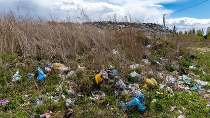 Notre quotidien saturé de plastique, des voitures jusqu’à nos brosses à dents, nous expose à un véritable cocktail chimique.