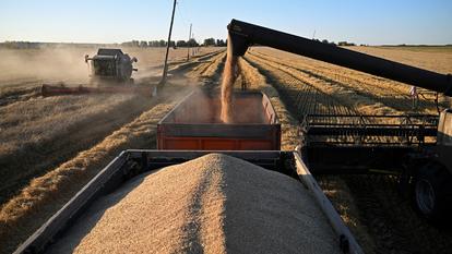 Moisson de blé dans la région de Krasnoïarsk, en Russie, le 9 septembre 2026. La Russie est le premier exportateur mondial.