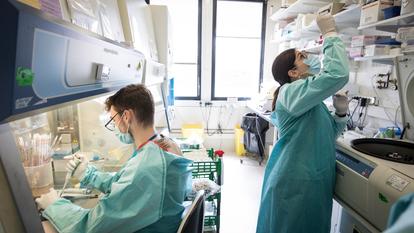 Pour les vingt ans du Pasteurdon, campagne annuelle de collecte et de sensibilisation, l’Institut Pasteur a présenté ses avancées sur Alzheimer, Parkinson, la dépression et les liens entre cerveau et microbiote, parmi ses plus de 20 000 publications.